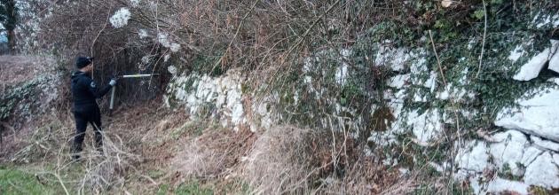 Rebberg