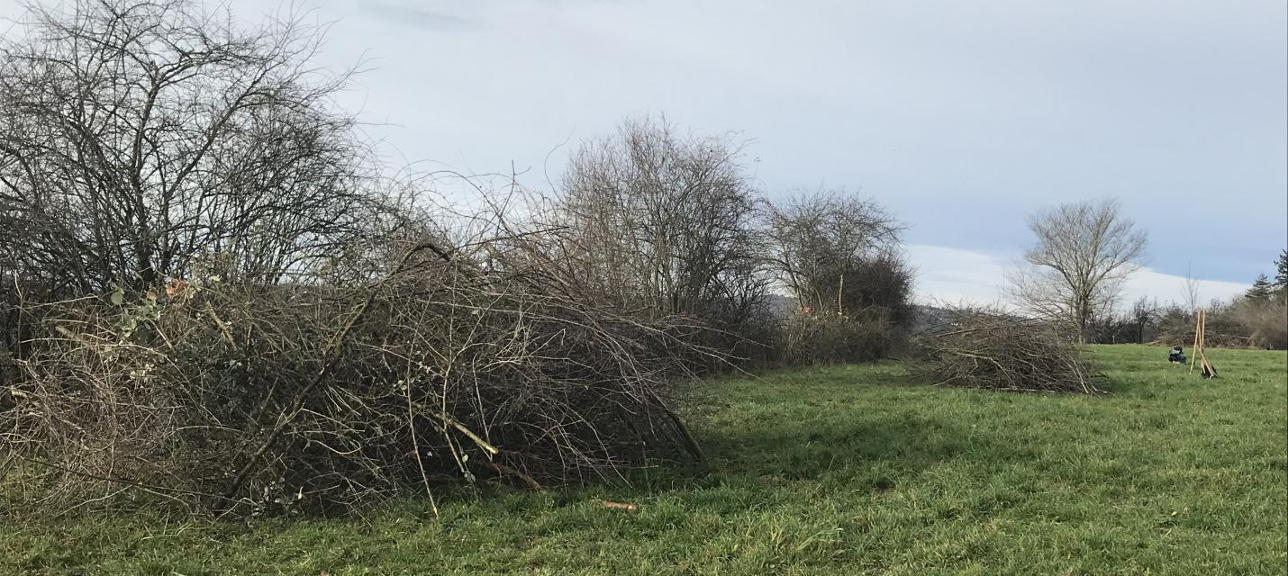 Arbeitseinsatz Herteren