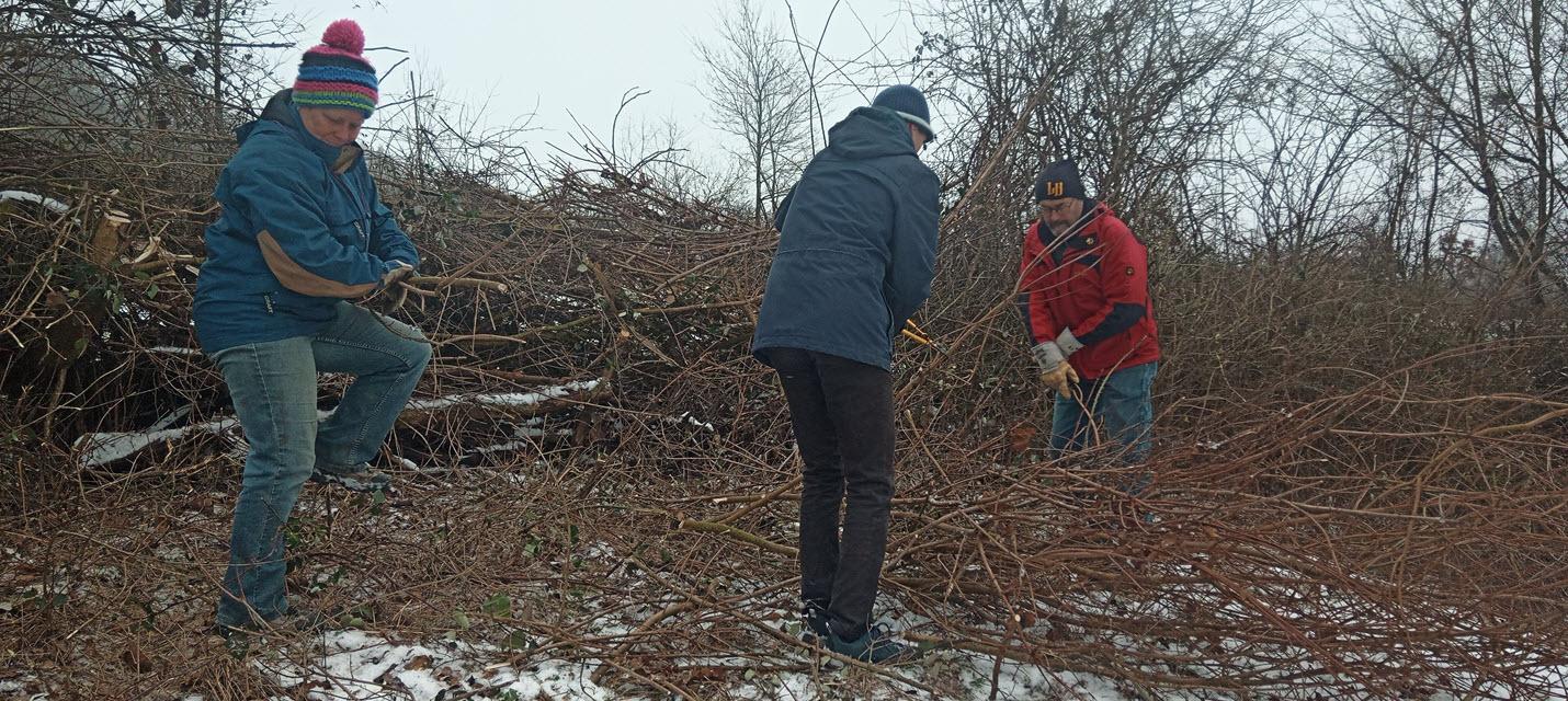 Arbeitseinsatz Herteren