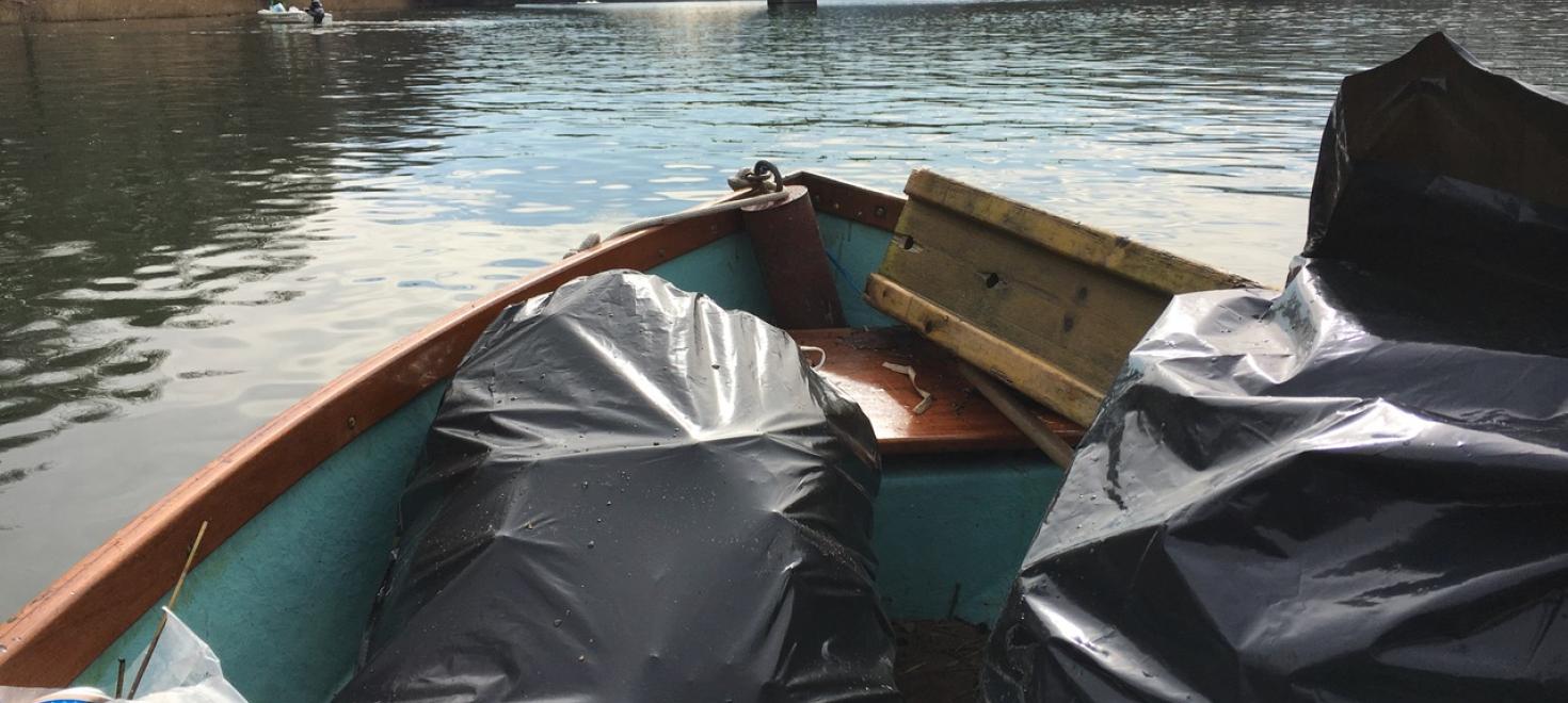 Limmatuferreinigung am Wettinger Stausee